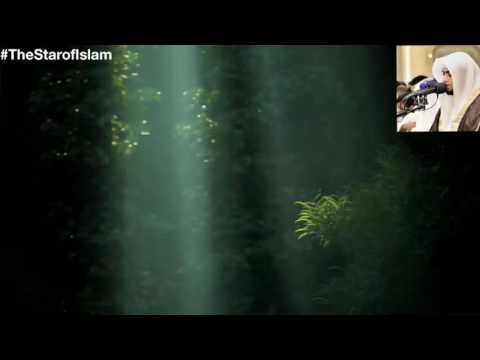 Sourate An-Nedžm, 1-32 أحمد النفيس