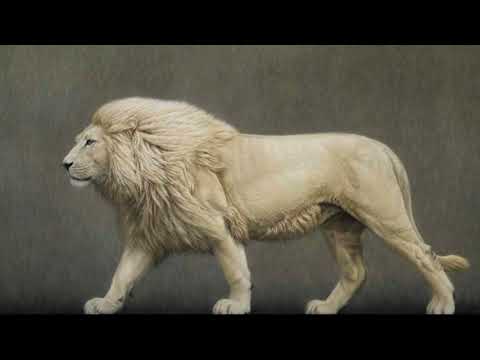 When The Lion Awakens