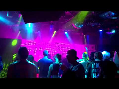 Phlegmatic Dogs - Holy Ship 11.0 (Day 2 - Bliss)