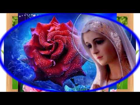 2/4 TRYUMF MARYI JUŻ DZIŚ W SERCACH JEJ ODDANYCH – MATKA BOŻA DO SWOICH UMIŁOWANYCH SYNÓW, KAPŁANÓW