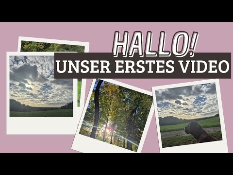 Die Düsselauen bei Gödinghoven