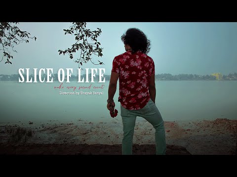 PRINCE Slice of Life 