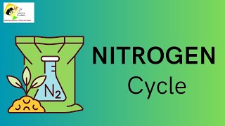 Learn Nitrogen Cycle In 7 Minutes! |