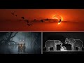 Shadows Of The Eclipse Tiger Ghosts Elephant Memories