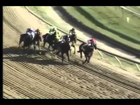 Pimlico 04/27/13 Race 10 - Federico Tesio Stakes