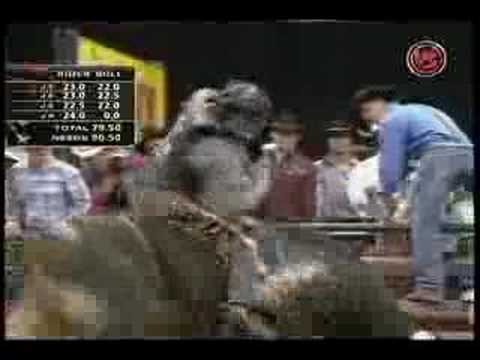 Zack Brown VS Sir Patrick