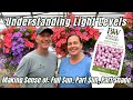 Understanding Light Levels for Your Garden: Full Sun, Part Sun, Part Shade, and Full Shade Explained
