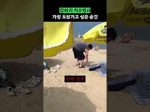 강아지 키우면서 가장 도망가고 싶은 순간