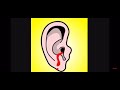 The Loudest Music In The World