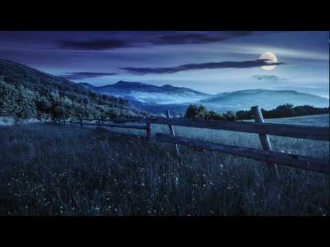 Sunetele naturii de greieri somn de sunet în noapte de relaxare