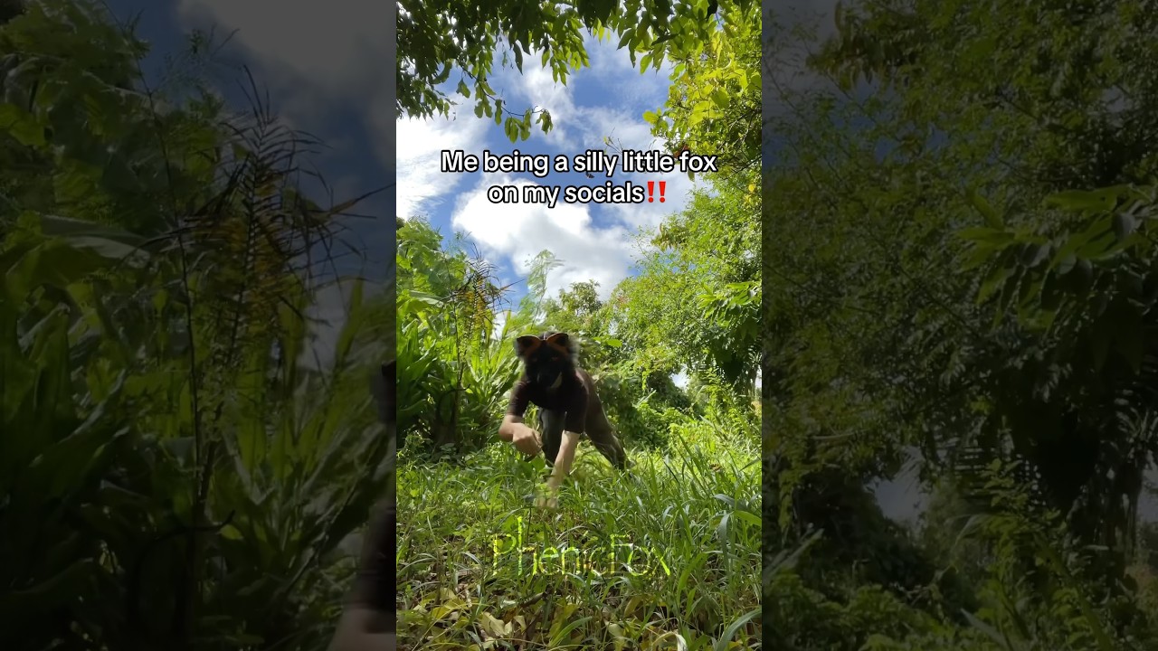 My friends and family see EVERYTHING #therian #quadrobics #fox #furry (Phenicfox)