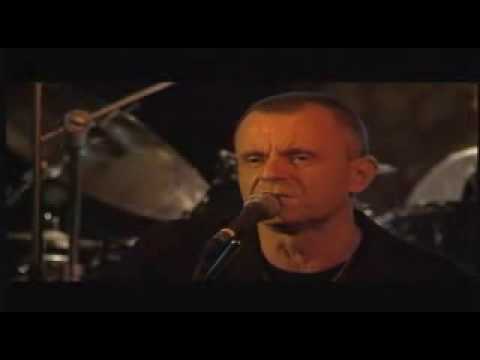 Elan Amnestia na neveru live, unplugged