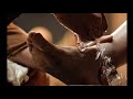 Humble Yourself - John 13 - James MacDonald - Sermon Jam