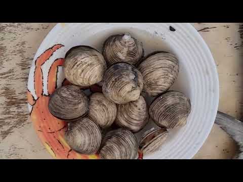 Frutos do mar