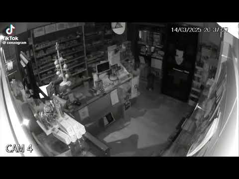 M4.7-5.0 Foggia, Italy earthquake on March 14, 2025 compilation🇮🇹