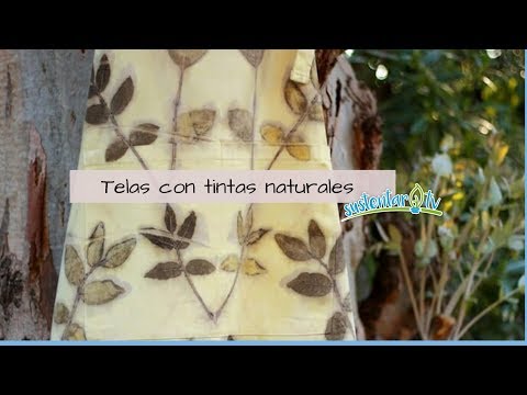 download lagu mp3 mp4 Tutorial Ecoprint En Espaol, download lagu Tutorial Ecoprint En Espaol gratis, unduh video klip Tutorial Ecoprint En Espaol