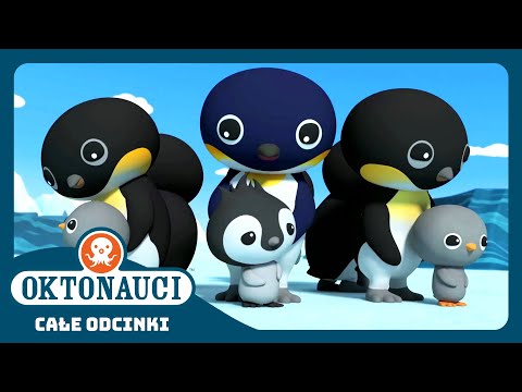 Oktonauci - 🧊 I pingwiny cesarskie 🐧 | Cały odcinek 24 | Seria 4