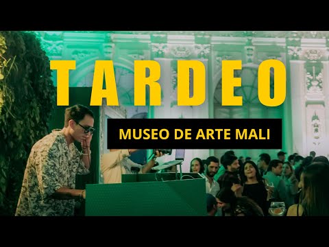 MIX TARDEO 🏛️ SET 02 MUSEO DE ARTE MALI (REGGAETON, LATIN POP, AFRO HOUSE, SALSA)