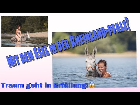 Mit Bambam am Rhein - shootingbilder - mit jana.hartmann.fotografie
