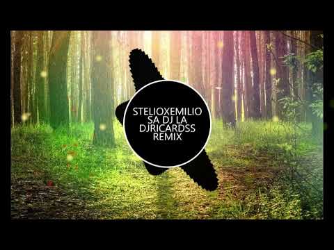 STELIOXEMILIO _SA DJ LA_DJRICARDSS REMIX