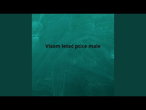 Visom leteć ptice male