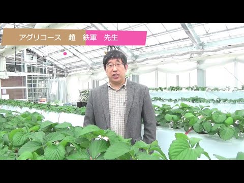 21_趙先生