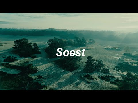 Soestduinen, the Netherlands // Shot on DJI Mini 4 Pro