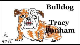 Bulldog(Tracy Bonham) Guitar Cover