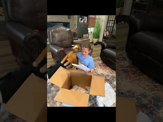 Select to view image