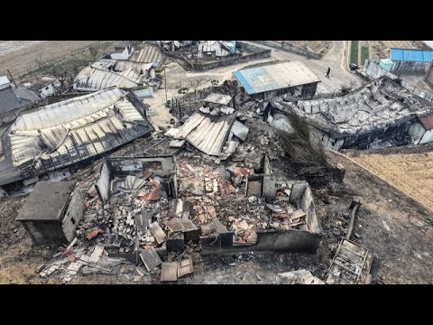 Mindestens 20 Tote: Waldbrände in Südkorea weiten sich aus