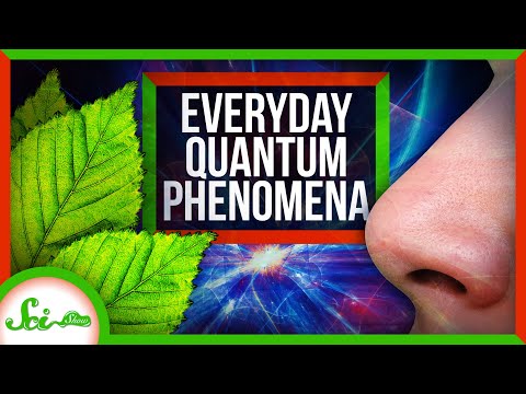 How Quantum Mechanics Affects Your Life