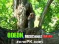 Bibi Sharenay Urdu By Malik Aizaz