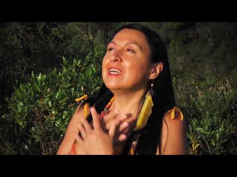 El Amauta - Terapia del canto y Chamalu