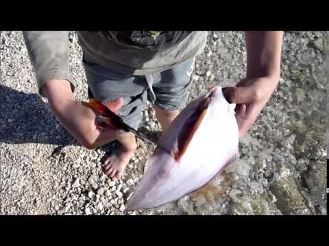 Maks end Nika "School" October Peroj 2014