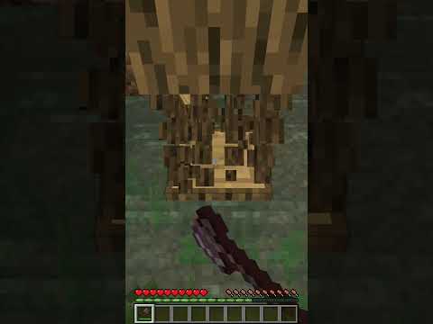 SECRET LOCATION in Minecraft Witch Hut.. #shorts