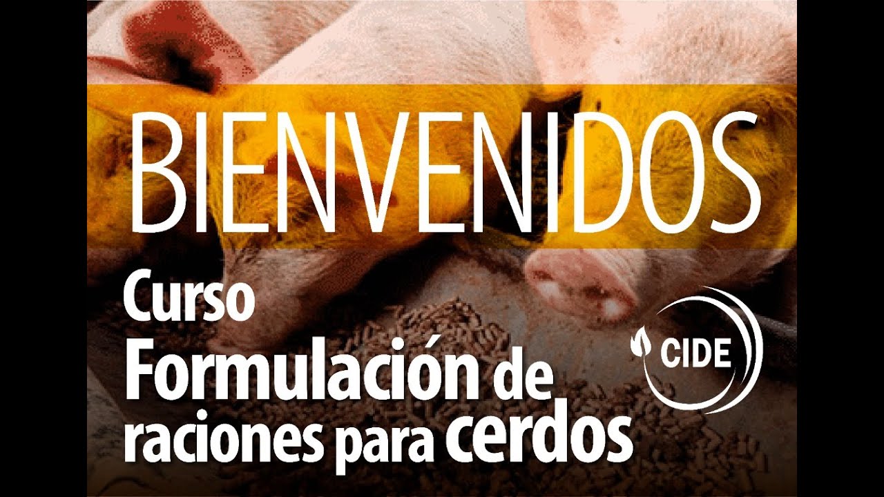 CURSO DE FORMULACION DE RACIONES PARA CERDOS 2022 DIA 1