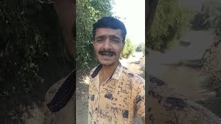 Download lagu Tera dil ka rishtaaTera dil ka mere dil se rishta purana hai mp3 Download lagu Tera dil ka rishtaaTera dil ka mere dil se rishta purana hai mp3