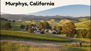 10 Best Things to Do in Murphys, California