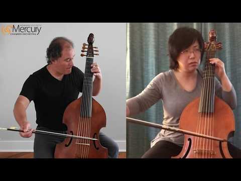 Les Pleurs by Monsieur de Sainte-Colombe performed by Antoine Plante and Beiliang Zhu