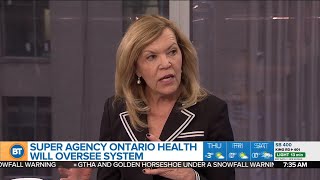 Ontario health minister says privatization is 