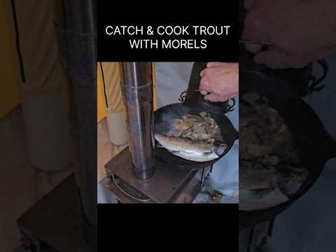 Cooking trout with morels in the hot tent