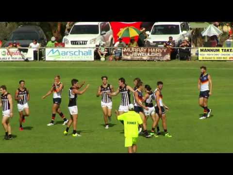 Magpies v Crows Highlights - Round 2, 2016