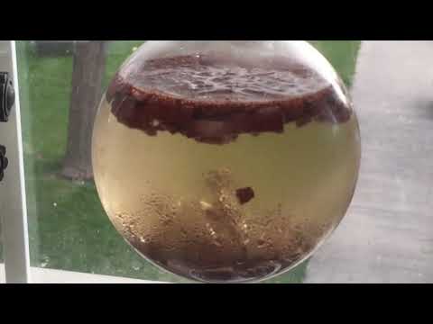 Distilling Cinnamaldehyde