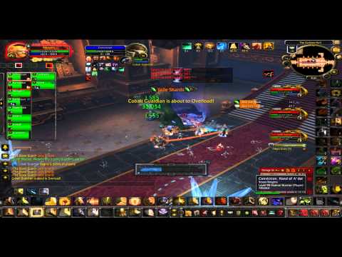 Stone Guards 10m MSV