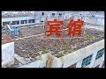 BIGGEST Disappointment Ever We Try A 5 Star Hotel In China