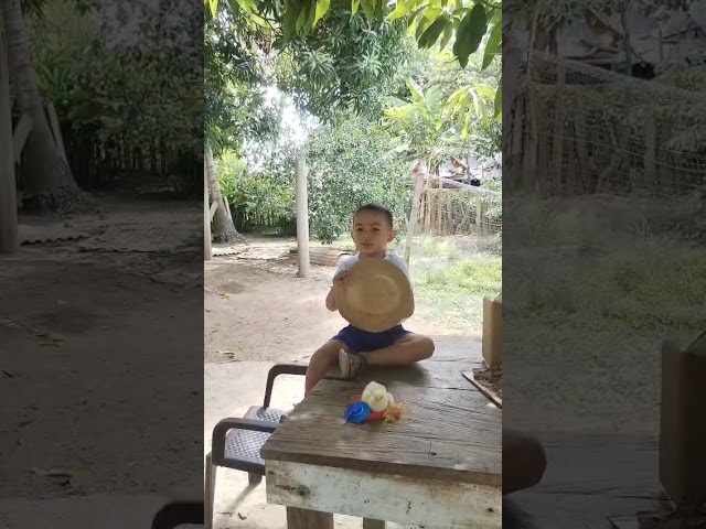 Video 5