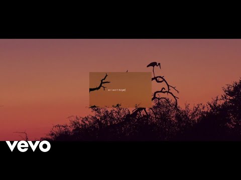 Mumford & Sons - Mumford & Sons and National Geographic Present: October Skies