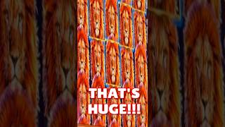 🦁HUGE BONUS!!!!🦁King of Africa slot #slotman777 #slots #casino #bigwin #win #shorts #jackpot #wow