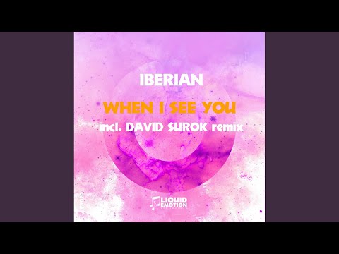 When I See You (David Surok Remix)