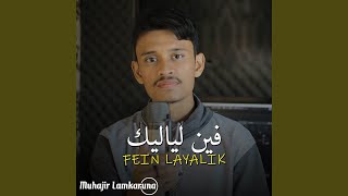 Download lagu Fein Layalik فين لياليك... mp3